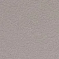 Batick Platinum Grey Leather