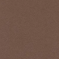 Cori Copper Leather