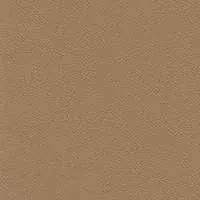 Cori Caramel Leather