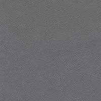 Cori Grey Leather