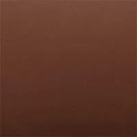 Paloma Copper Leather