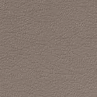 Paloma Mushroom Leather