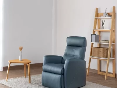 Divani Lift Riser Chair 2 Motors with Lift